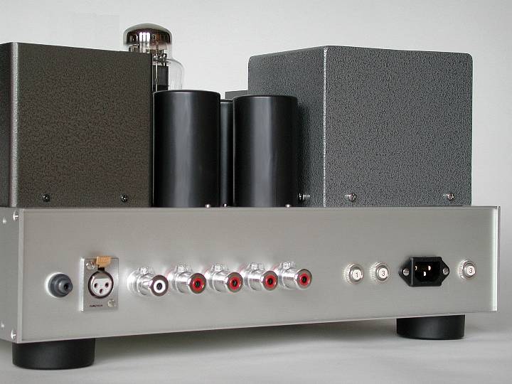 Model 301 Mono Amplifier
