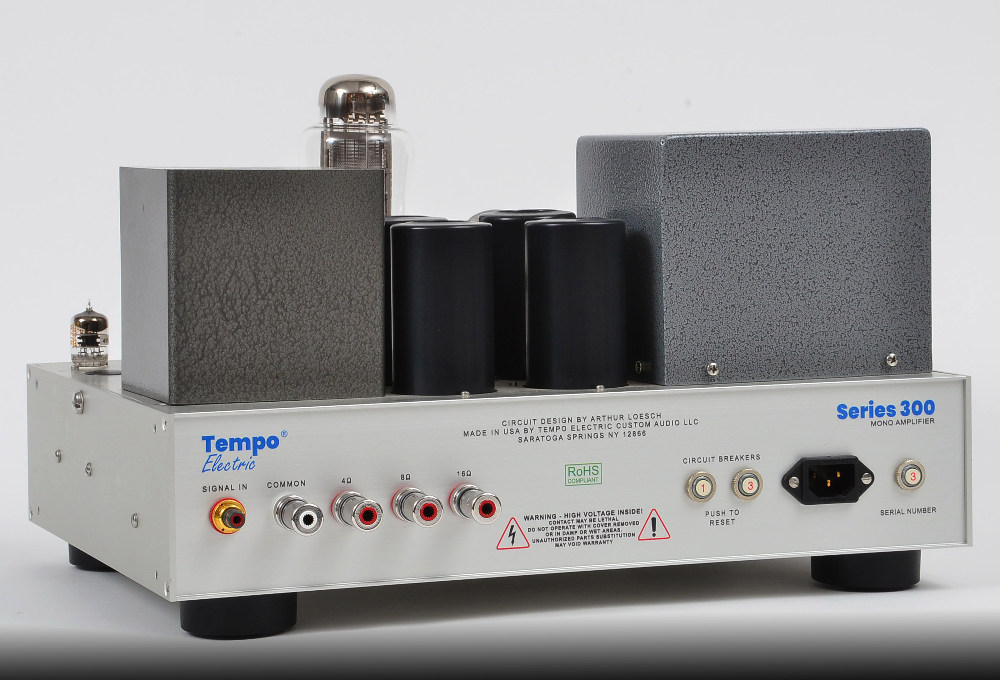 Series 300 Mono Amplifier